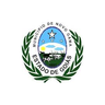 Brasão Novo Gama / GO