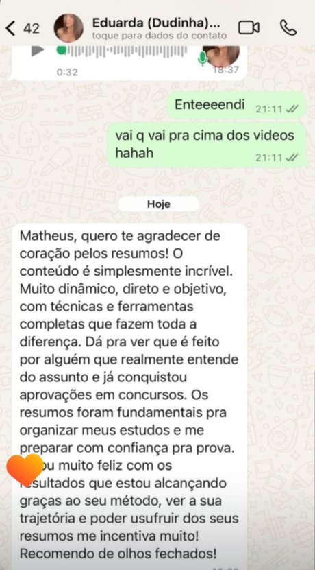 Depoimento de Eduarda sobre os Resumos 360